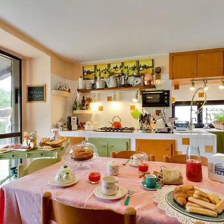 Cadami Willa Collorso