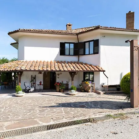 Cadami Collorso